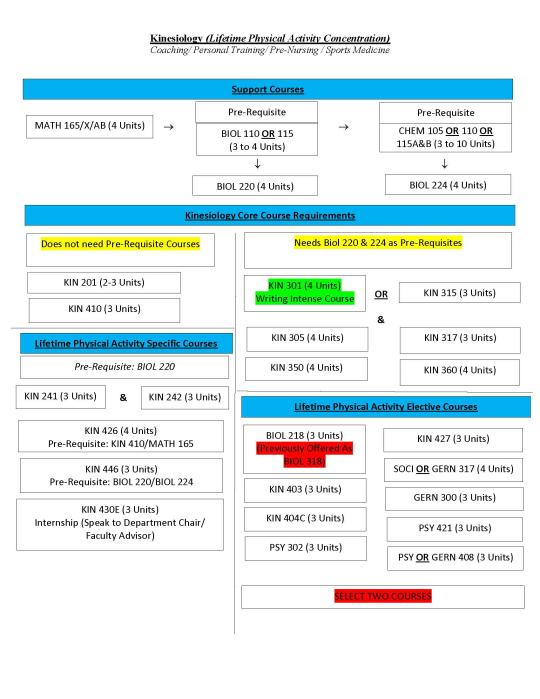 Flowchart of Lifetime Physical Activity concentration