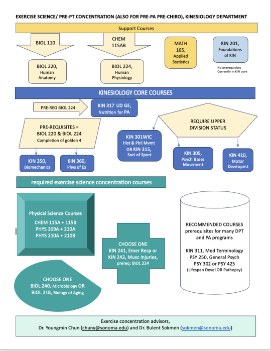Exercise Science/pre-Physical Therapy concentration flowchart